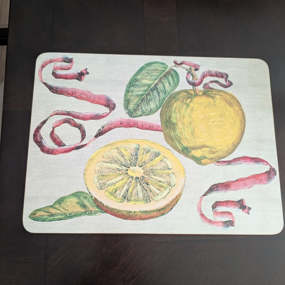☘️3/$33 Williams Sonoma Placemat Set (6)☘️ 3 for $33.00☘️